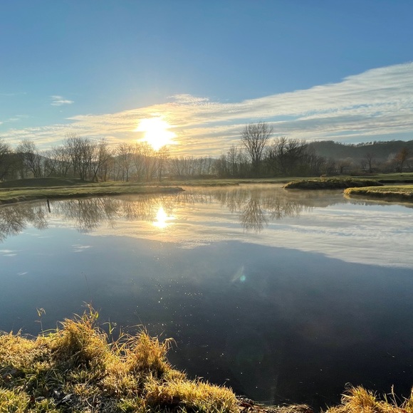 Meet your Posher, Karina - Picture 1 of 1